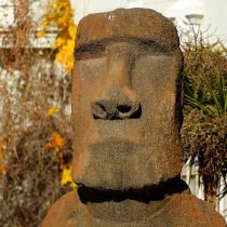 CIDH declaró admisible demanda del pueblo Rapa Nui contra Chile: buscan recuperar autonomía de territorios