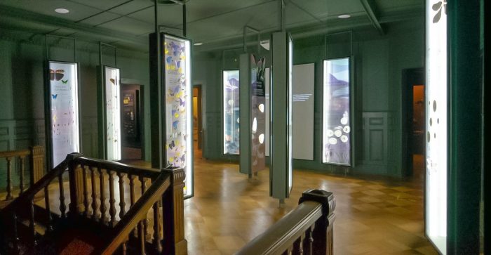 Exhibición de entomología en Museo Fonck Exhibición de entomología en Museo Fonck