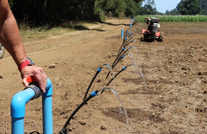 Prórroga a la Ley de Riego: subsidios para seguir exportando agua en plena crisis climática Prórroga a la Ley de Riego: subsidios para seguir exportando agua en plena crisis climática