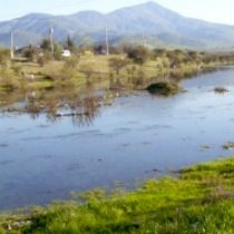 Detener la contaminación y destrucción del estero Puangue