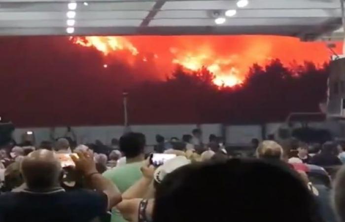 Escenas “apocalípticas” en Grecia: la evacuación entre las llamas de un ferry en la isla de Eubea