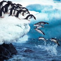 Informe IPCC: La subida del nivel del mar y el deshielo de los glaciares ya son irreversibles, pero podemos frenarlos