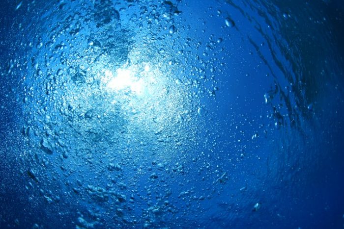 Hacia un nuevo acuerdo internacional que proteja la biodiversidad en alta mar Hacia un nuevo acuerdo internacional que proteja la biodiversidad en alta mar