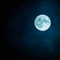 El nuevo gin inspirado bajo la luz de la luna
