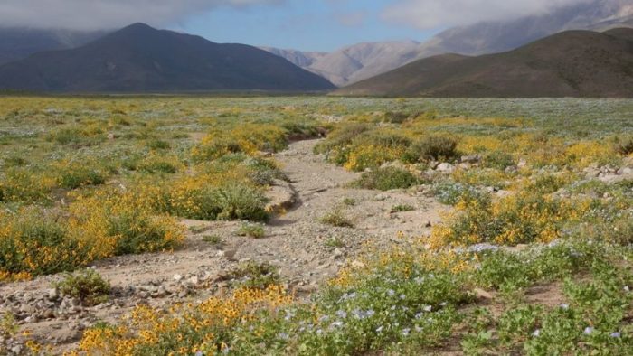 Los tres pilares de un desarrollo sostenible: una base económica sólida, una mirada social justa y la visión ambiental Los tres pilares de un desarrollo sostenible: una base económica sólida, una mirada social justa y la visión ambiental