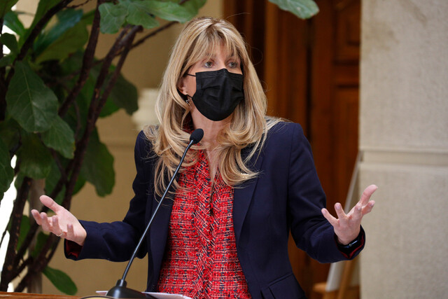 Senadora Rincón por Ley Corta de pensiones: «Es poco audaz (…) Debió haber incluido otros temas» Senadora Rincón por Ley Corta de pensiones: