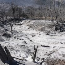 Un día desde el incendio forestal de Tiltil: 15 casas quemadas y más de 400 hectáreas afectadas