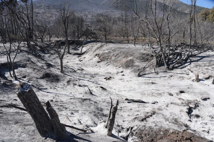 Un día desde el incendio forestal de Tiltil: 15 casas quemadas y más de 400 hectáreas afectadas Un día desde el incendio forestal de Tiltil: 15 casas quemadas y más de 400 hectáreas afectadas