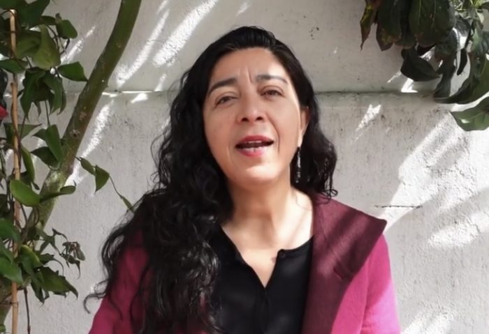La teleserie de Tania Madriaga: convencional no reemplazará como vicepresidenta adjunta a Rojas Vade y acusa “error político” La teleserie de Tania Madriaga: convencional no reemplazará como vicepresidenta adjunta a Rojas Vade y acusa “error político”
