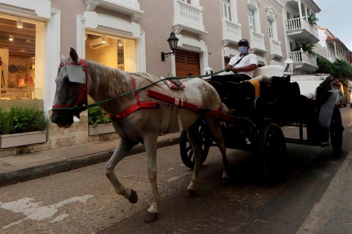 Los tradicionales coches de caballos: ¿un oficio o maltrato animal? Los tradicionales coches de caballos: ¿un oficio o maltrato animal?