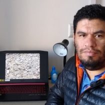 Científico de la U. de Concepción descubre dos nuevas especies prehistóricas