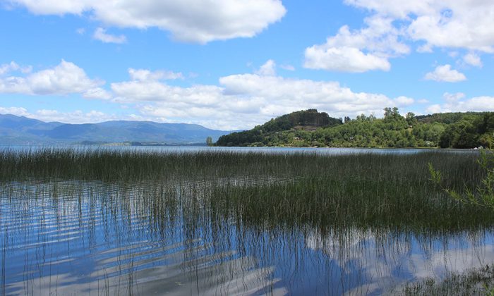 El Gobierno Regional al servicio y protección de los humedales El Gobierno Regional al servicio y protección de los humedales