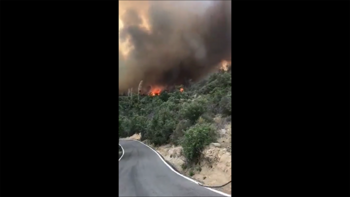 Incendio forestal en Tiltil: declaran alerta roja por siniestro que afecta a más de 100 hectáreas y ha quemado al menos 12 casas Incendio forestal en Tiltil: declaran alerta roja por siniestro que afecta a más de 100 hectáreas y ha quemado al menos 12 casas