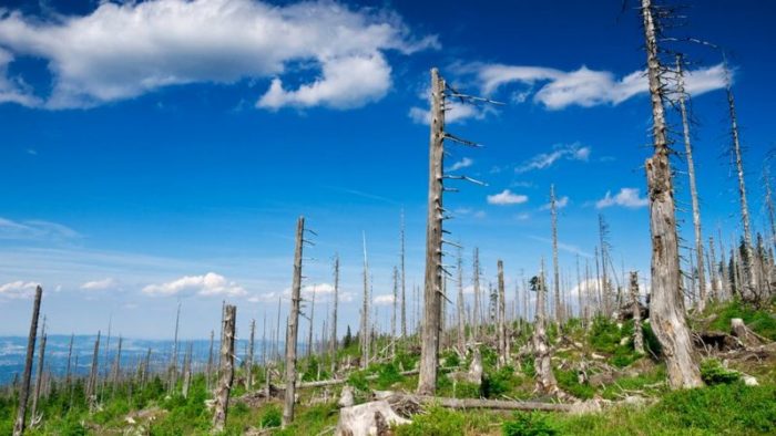 3 desastres medioambientales que casi hemos solucionado (y qué lecciones podemos aprender para la lucha contra el cambio climático) 3 desastres medioambientales que casi hemos solucionado (y qué lecciones podemos aprender para la lucha contra el cambio climático)
