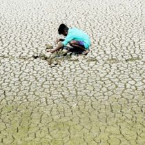 Un camino para luchar contra la desertificación y la sequía