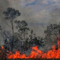 ONG denuncia a Jair Bolsonaro ante la CPI por deforestación de la Amazonía