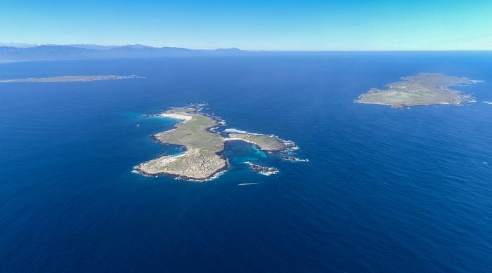 Greenpeace y caso Dominga: “Este proceso de conciliación es la legitimación de un ilícito a costa del medioambiente” Greenpeace y caso Dominga: “Este proceso de conciliación es la legitimación de un ilícito a costa del medioambiente”