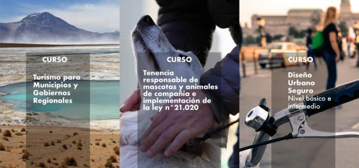 Abre convocatoria para cursos de diseño urbano, turismo local y tenencia responsable de mascotas Abre convocatoria para cursos de diseño urbano, turismo local y tenencia responsable de mascotas