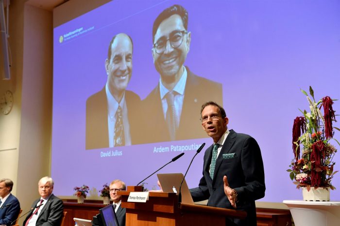 Nobel para los descubridores de los receptores de la temperatura y el tacto Nobel para los descubridores de los receptores de la temperatura y el tacto