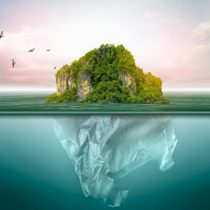 Medio ambiente: cuáles son los 9 límites que mantienen a la Tierra en equilibrio (y qué riesgos corremos por haber pasado 4)