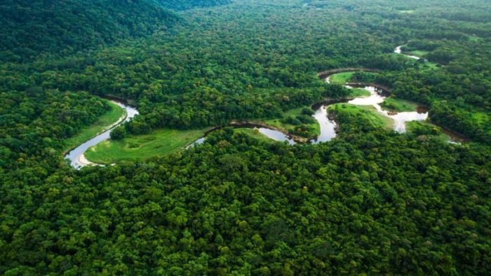 Medio ambiente: qué son las reservas de la biósfera, claves en la lucha contra el cambio climático en América Latina