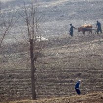 La hambruna que se cierne sobre Corea del Norte y que puede ser la peor en décadas