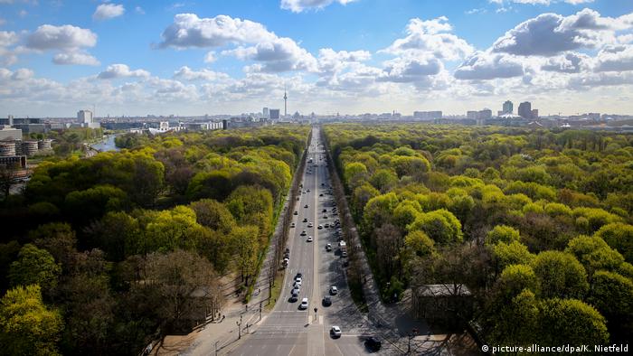 Los árboles situados en espacios urbanos ayudan a enfriar las ciudades, sugiere estudio Los árboles situados en espacios urbanos ayudan a enfriar las ciudades, sugiere estudio