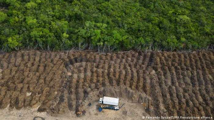 Brasil registra deforestación récord en la Amazonía en últimos 15 años Brasil registra deforestación récord en la Amazonía en últimos 15 años