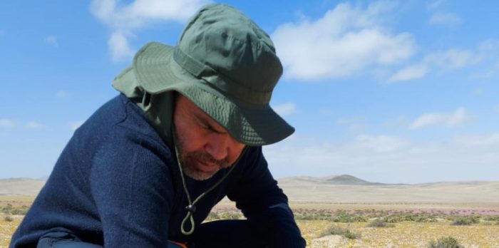 Estudio genético busca entregar claves para resguardar el desierto florido
