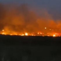 Incendio forestal afecta alrededor de siete hectáreas del humedal Paicaví en Concepción