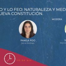 Webinar Observatorio nueva Constitución: Naturaleza y medio ambiente en la nueva Constitución