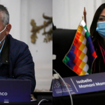 Comisión de Derechos de Pueblos Indígenas de la CC elige como coordinadores a Victorino Antilef y Margarita Vargas