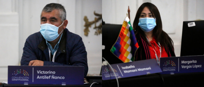 Comisión de Derechos de Pueblos Indígenas de la CC elige como coordinadores a Victorino Antilef y Margarita Vargas