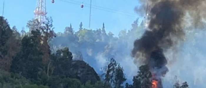 Incendio afectó a ladera sur del Cerro San Cristóbal: siniestro ya fue controlado