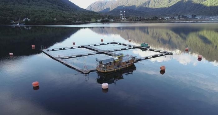 No más salmoneras en áreas protegidas: presentan proyecto que prohíbe concesiones en zonas de conservación No más salmoneras en áreas protegidas: presentan proyecto que prohíbe concesiones en zonas de conservación