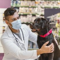 Amenazas y funas hacia veterinarios