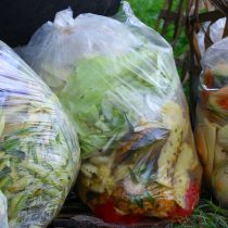 Cinco formas de reducir el desperdicio de alimentos, y por qué es importante