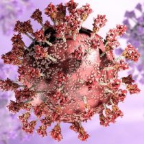 Ómicron: la nueva variante aumenta el riesgo de reinfección por coronavirus, según un estudio preliminar en Sudáfrica