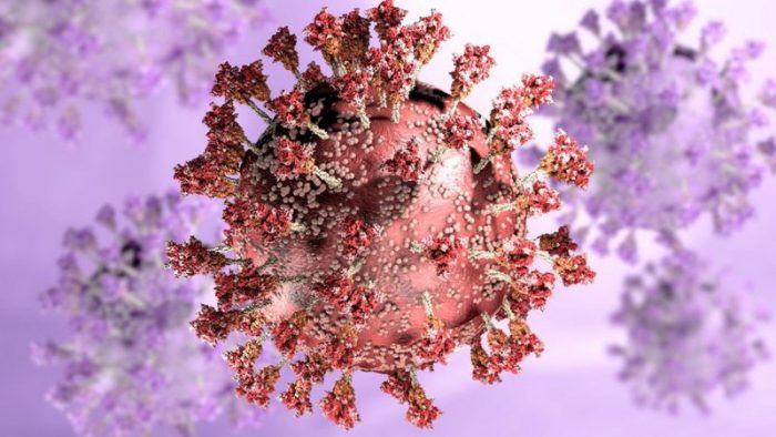 Ómicron: la nueva variante aumenta el riesgo de reinfección por coronavirus, según un estudio preliminar en Sudáfrica Ómicron: la nueva variante aumenta el riesgo de reinfección por coronavirus, según un estudio preliminar en Sudáfrica