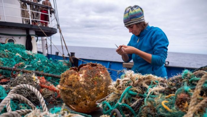 Las especies que han colonizado la gigantesca «isla» de plástico que flota en el Pacífico Las especies que han colonizado la gigantesca