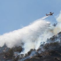 Incendio forestal afecta a Requínoa: Onemi decretó Alerta Roja