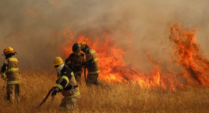 Por incendios forestales: Onemi solicitó evacuar 4 sectores de Quillón, en la Región de Ñuble. Hay 21 focos activos en el país