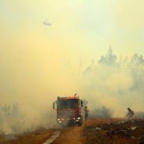 Se reactiva incendio forestal en Quillón: Onemi pide evacuar la zona