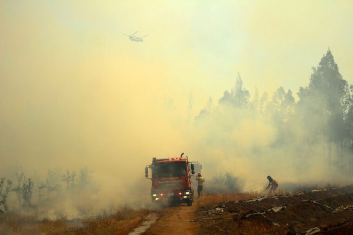 Se reactiva incendio forestal en Quillón: Onemi pide evacuar la zona