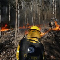 13 incendios forestales en combate en el país:  O'Higgins, Ñuble, La Araucanía y Los Lagos son las regiones afectadas