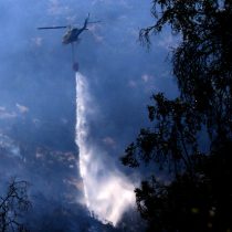 Altas temperaturas pronosticadas: Onemi declara Alerta Temprana Preventiva en la RM por amenaza de incendio forestal