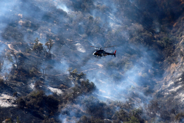 Incendio forestal en Nacimiento dejó cerca de 190 hectáreas consumidas y cuatro familias con pérdidas materiales