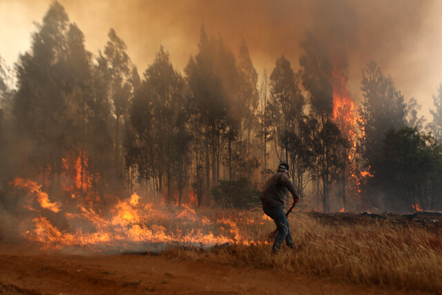Los incendios forestales en el centro-sur consumen 11.000 hectáreas