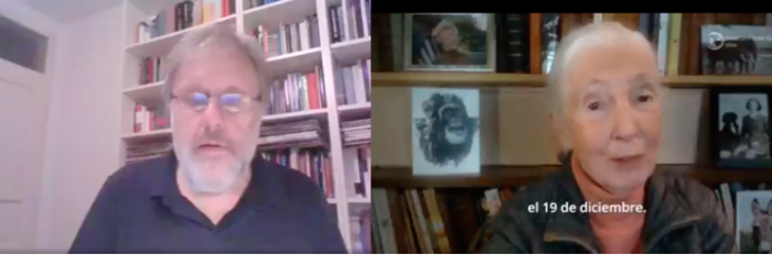 El filósofo Slavoj Žižek y la etóloga Jane Goodall llaman a votar en las próximas elecciones presidenciales chilenas