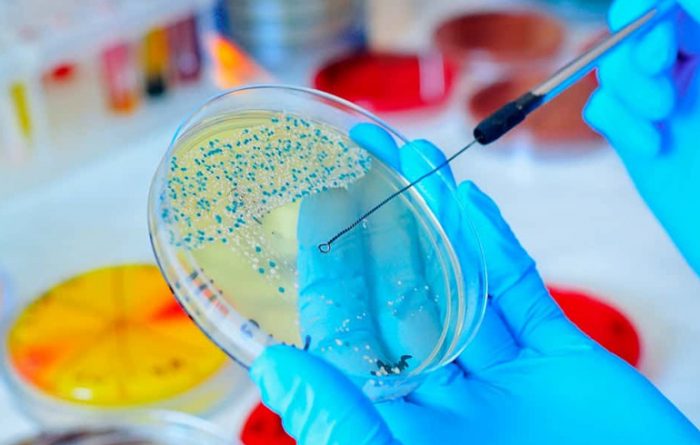 Nueva Constitución: microbiología y enfermedades infecciosas Nueva Constitución: microbiología y enfermedades infecciosas